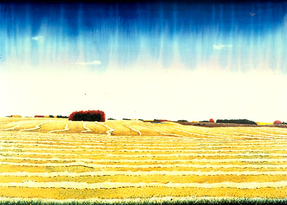 Harvest Painting, ©1979 David Thauberger